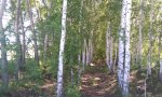 Фотография объекта