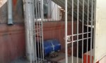 Фотография объекта