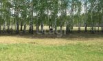 Фотография объекта