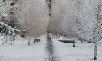 Фотография объекта