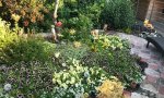 Фотография объекта