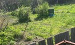 Фотография объекта