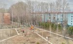 Фотография объекта