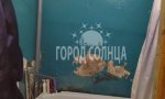 Фотография объекта