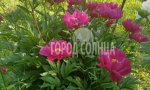 Фотография объекта