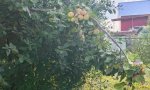 Фотография объекта
