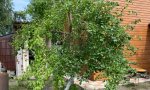 Фотография объекта
