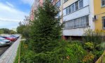 Фотография объекта