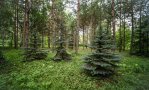 Фотография объекта