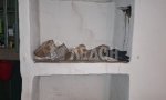 Фотография объекта